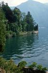 Tree-ed Promontary, Lake Lugano, Italy