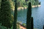 Trees & Lake, Villa Favorita, Italy