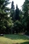 Garden of Villa Sorbelloni, Lake Como - Bellagio, Italy