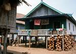 House, Coconuts, Komodo Island, Indonesia