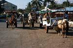Pony 'Taxis', Sumbawa Besar, Indonesia