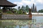 Water Palace & Lotus, Lombok Island, Indonesia