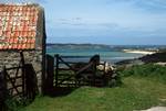 Looking to Lawrence's Bay, Horse, St.Martin, Scilly