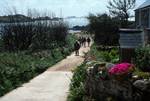 Road, Mesam, to Hell Bay, Bryher, Scilly