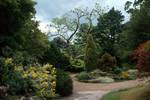Botanic Gardens, Bath, England