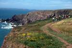 Coastal Path & Group, Pembrokeshire Coast, Wales