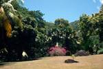 Botanical Gardens, Mahe, Victoria, Seychelles