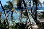 Palms & Lagoon, Moyenne Island, Seychelles