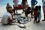 Group of Fishermen, Mahe, Lazare, Seychelles
