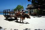 Ox Cart, La Digue, Seychelles