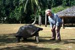 AMH & Tortoise, Curieuse, Seychelles