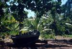 Boat & Palms, Anse Lazio, Seychelles