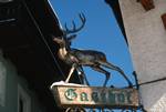 Inn Sign - Deer, St Wolfgang, Austria