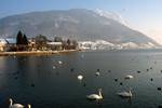 Lake, Swans & Mountain, Gmunden, Austria
