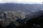 View into Valley, Garajonay National Park, La Gomera, Canary Islands