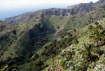 View into Valley, Garajonay National Park, La Gomera, Canary Islands