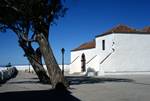 Church & 2 Trees, Chipuda, La Gomera, Canary Islands