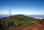 Road, Gentle Countryside, Cactus, On Way to La Pena, El Hierro, Canary Islands