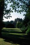 Great Trees - Looking to Castle, Glamis, Scotland