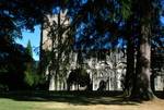 Cathedral & Trees, Dunkeld, Scotland