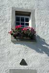 Window & Flower Box, Dunkeld, Scotland