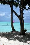 Shore, Trees & Sails, Meerenfushi, Maldives
