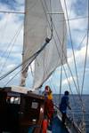 Sails Up, On Muna, Maldives
