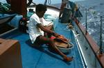 Crew Member Filleting Tuna, On Muna, Maldives