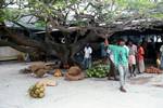 Market, Tree & Produce, Male, Maldives