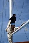 Crewman Up Mast, On Muna, Maldives