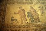 Roman Houses - Mosaic, Paphos, Cyprus