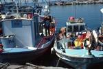 Harbour, Colourful Boats, Limassol, Cyprus