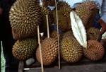 Durian (Exterior), Road-Side Stall, Indonesia - Sumatra