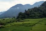 Mountains & Rice Fields, Beyond Prapat (Village Walk), Indonesia - Sumatra