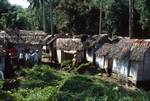 Dorm Huts (From Bus), On Way To Bukkitinggi, Indonesia - Sumatra