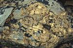 Yesnaby: Stromatolites, Orkney, Scotland