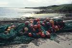 Rousay: Floats on Pier, Orkney, Scotland