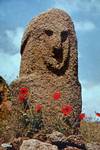 Postcard of Menhir, Filitosa, France - Corsica