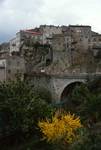 Bridge, Town, Yellow Broom, Sartene, France - Corsica