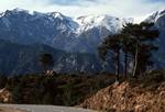 Mountains & Pines, Towards Venaco, France - Corsica