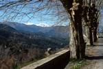View from Paole's House, Large Trees, Morosaglia, France - Corsica