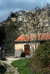 Citadel, Cottage, Old Man, Blossom, Corte, France - Corsica