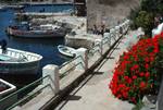 Harbour & Red Geraniums, Centuri Port, France - Corsica