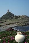 Headland - Tower & 'Vase', Ajaccio, France - Corsica