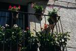 Balcony - Flowers, Berdun, Spain - Pyrenees