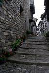 Stepped Street, Houses, Flowers, Anzo, Spain - Pyrenees