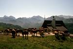 Refugio, Horses, Mountains, Belagua, Spain - Pyrenees