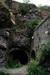Tunnels, Saxifrage Longifolia, Col de Ladrones, Spain - Pyrenees