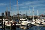 Harbour - Yachts, Boston, U.S.A.