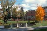 Park & Duck Pond, Saratoga Springs, U.S.A.